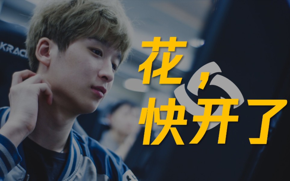 你可以永远相信4amforever因为花快开了