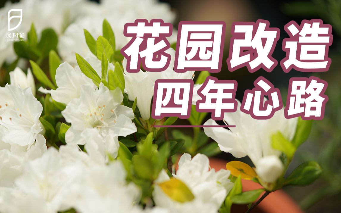 [图]【园丁小饭】四年花园改造心路分享！把花园从想象里搬出来~