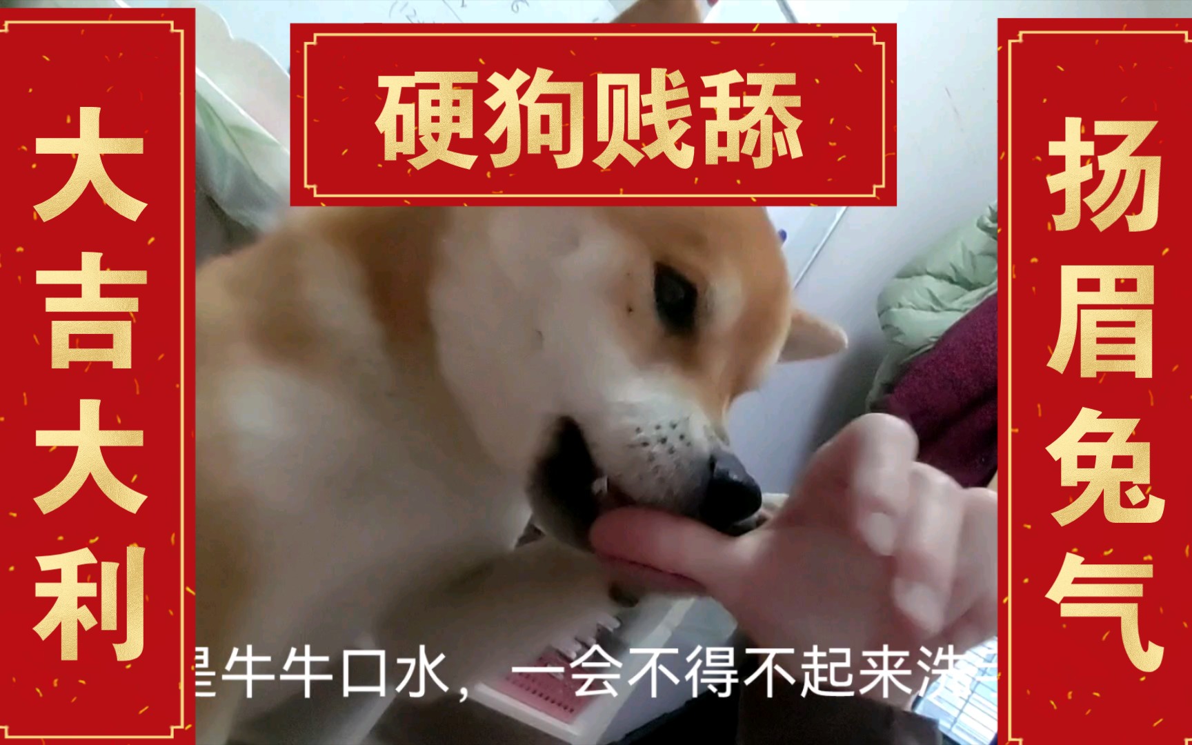 不不不,不是你想象中的舔狗