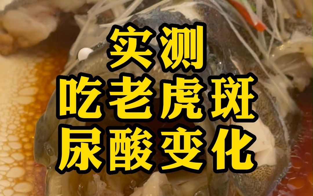 【戳手试酸】吃个肉肉很扎实的海鱼吧,海鱼果然很厉害!哔哩哔哩bilibili