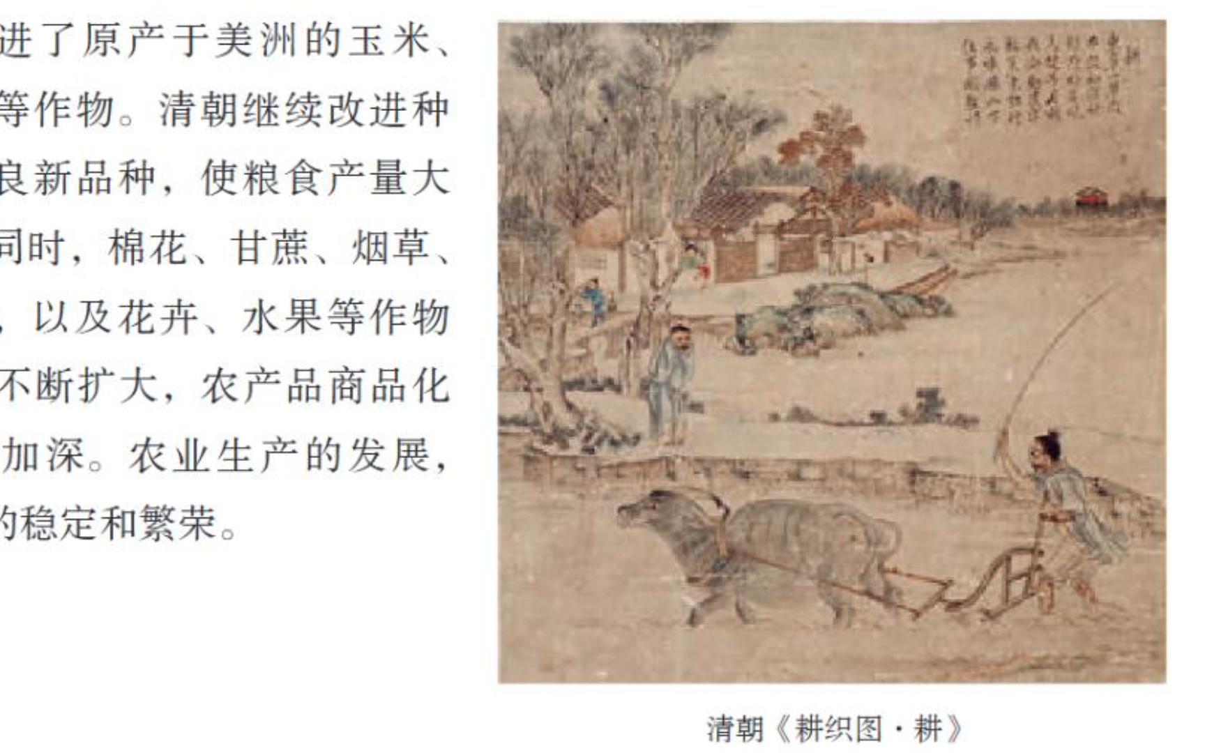 初中历史课本插图出处