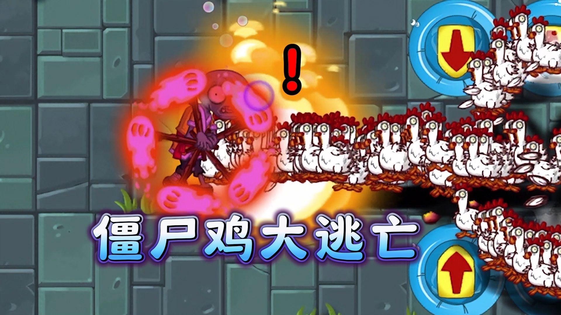 当僵尸鸡逃离戴夫农场,哪些精英僵尸能够消灭它们呢?