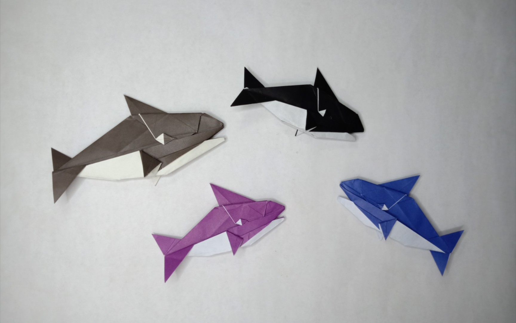 手工折纸——虎鲸 可爱的虎鲸,你值得拥有