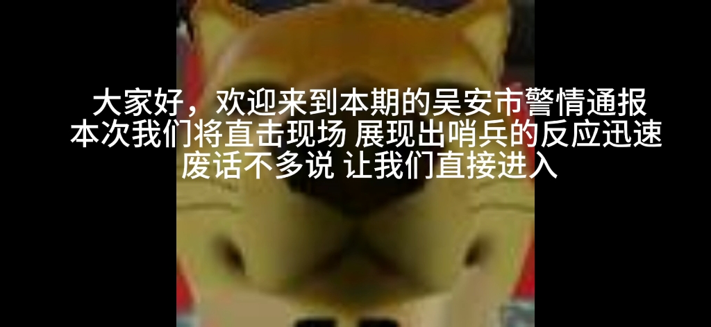 [警情通报] 本次我们直击吴安哨兵反应迅速且快哔哩哔哩bilibili第一视角