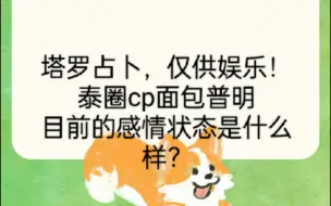 Download Video: 【pondphuwin占卜】面包普明目前感情状态塔罗传讯，仅供娱乐！