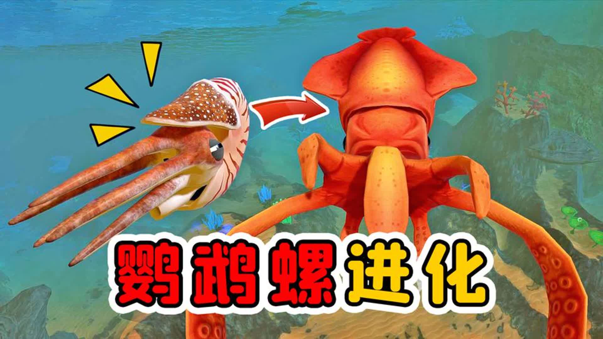 海底大猎杀:鹦鹉螺脱壳升级,是海洋霸主大王乌贼