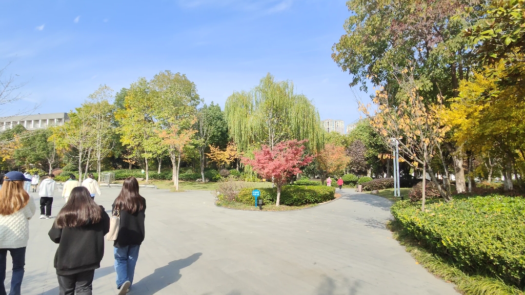 [图]如果当时是夕焼けの歌，我会跳进旁边的谭里游一圈再上来