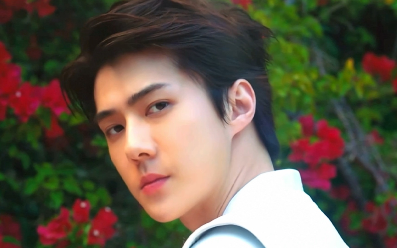 灿勋我见过许多花都不及你