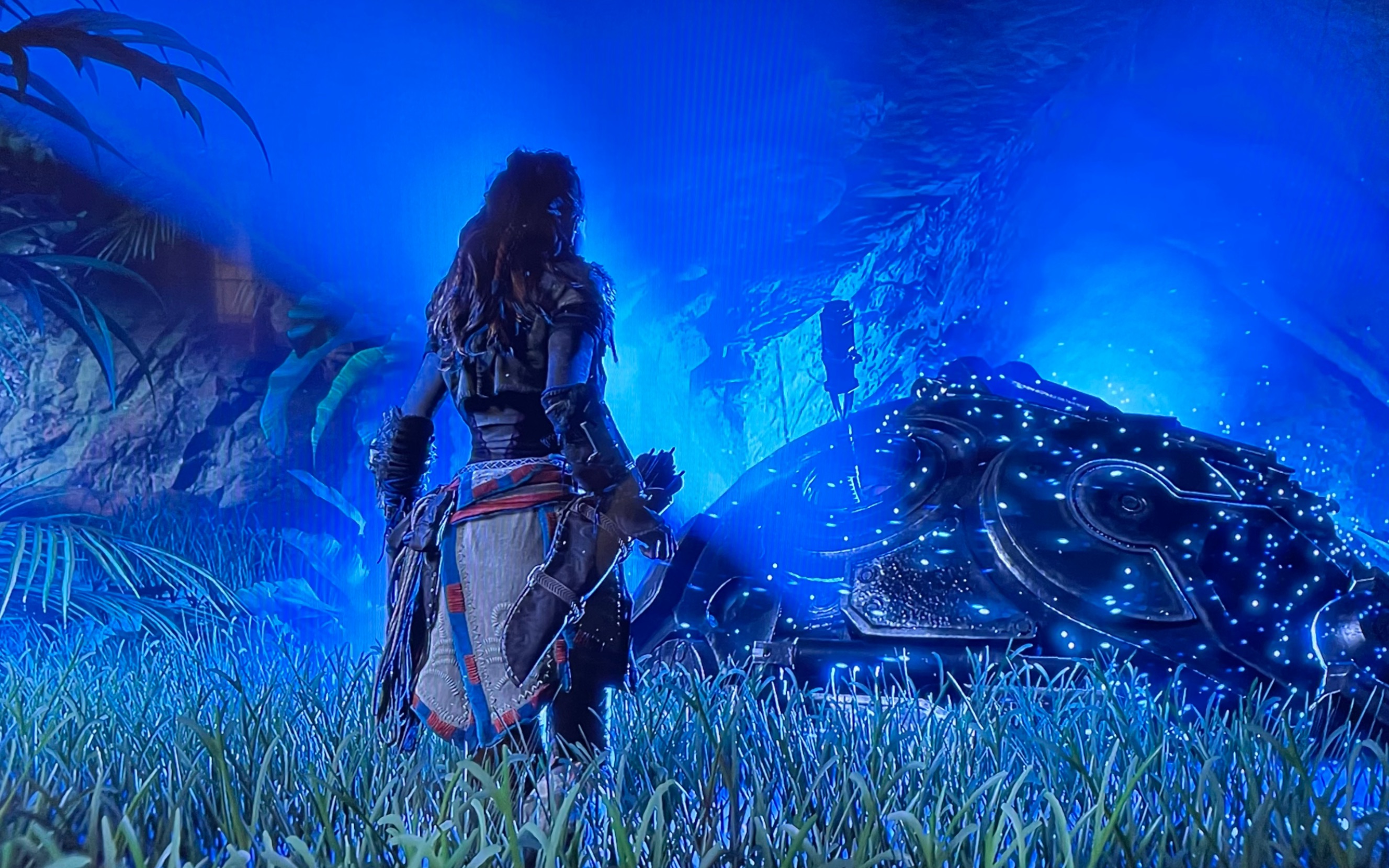 《地平线-零之曙光》