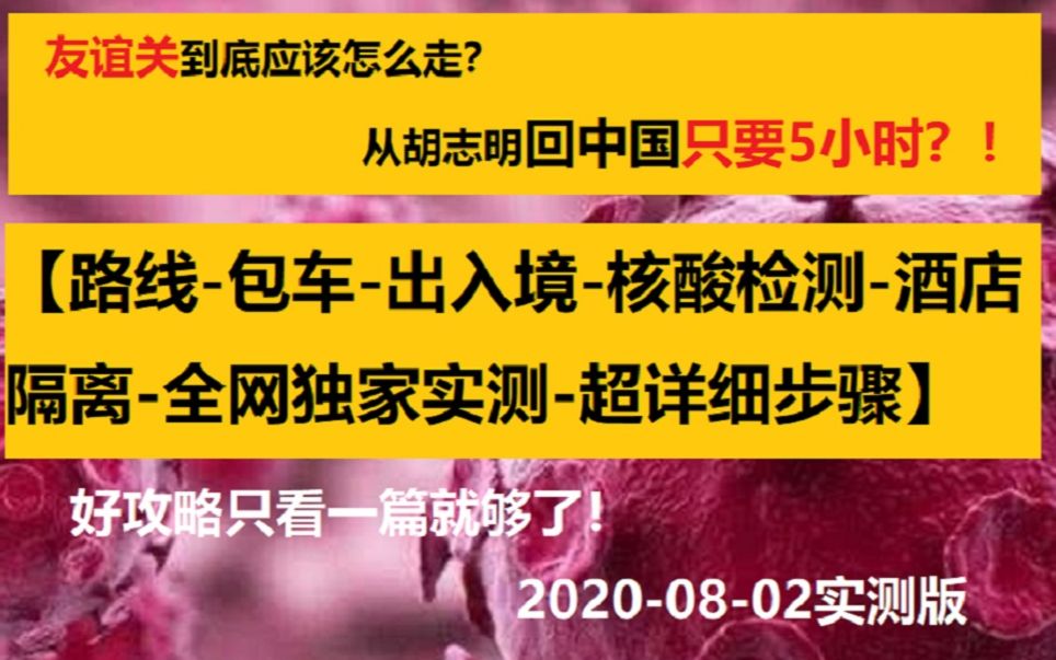 越南疫情加剧,通过友谊关回国超详细步骤【路线包车出入境核酸检测酒店隔离全网最详细,只看这一篇就够了】20200802哔哩哔哩bilibili