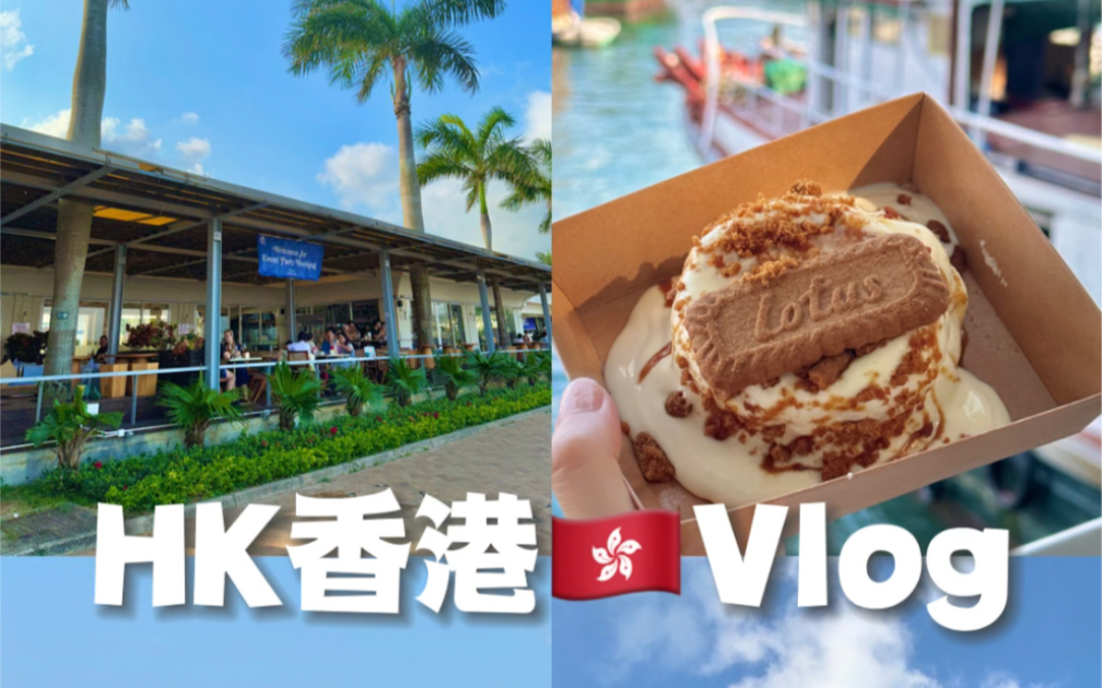 HongKong香港vlog带你去一个不一样的香港哔哩哔哩bilibili