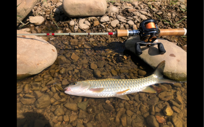 探钓溪流路亚军鱼标点 一直在路上