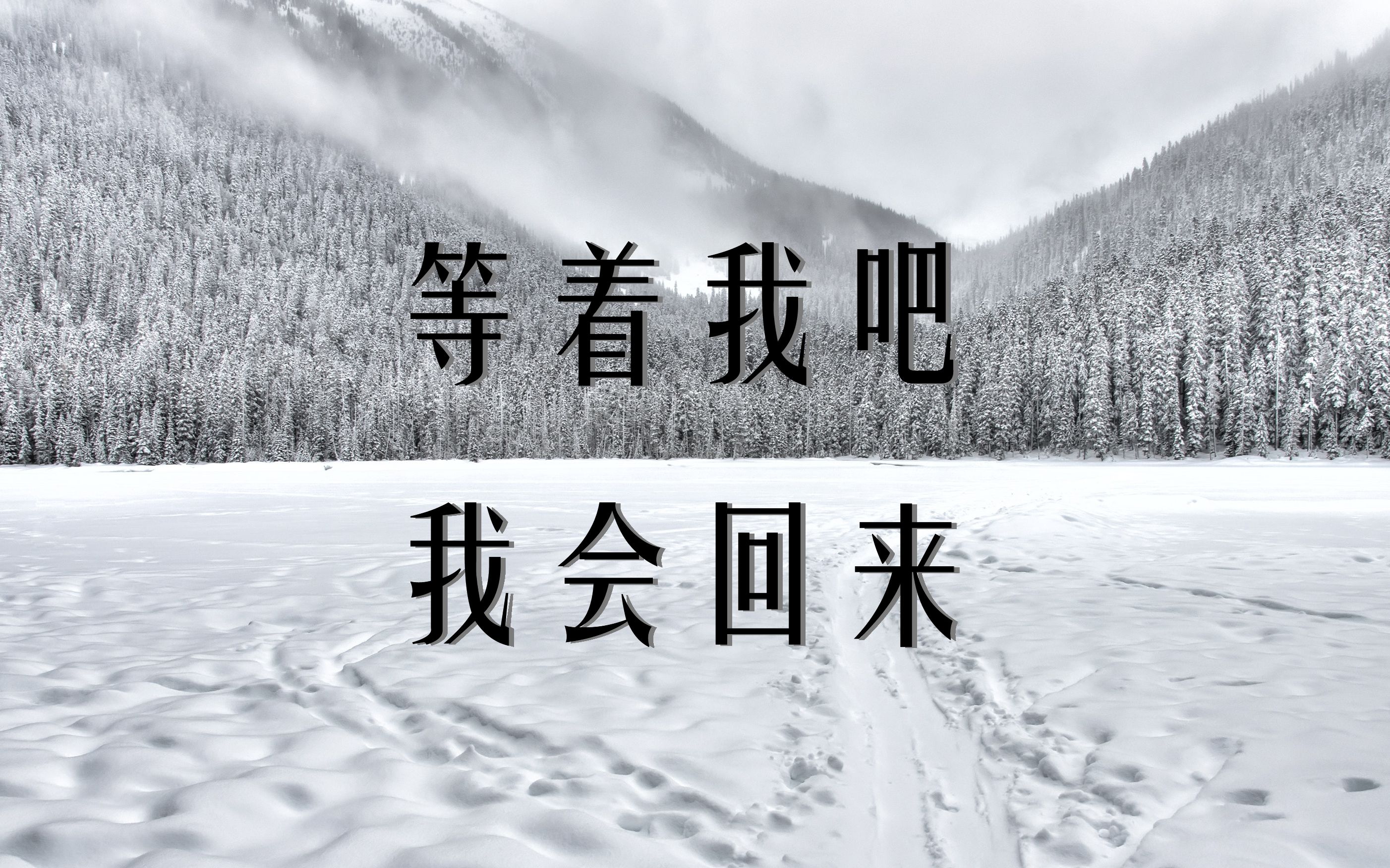 [图]”等着我吧，我会回来 只是你要苦苦地等待“|西蒙诺夫《等着我吧》