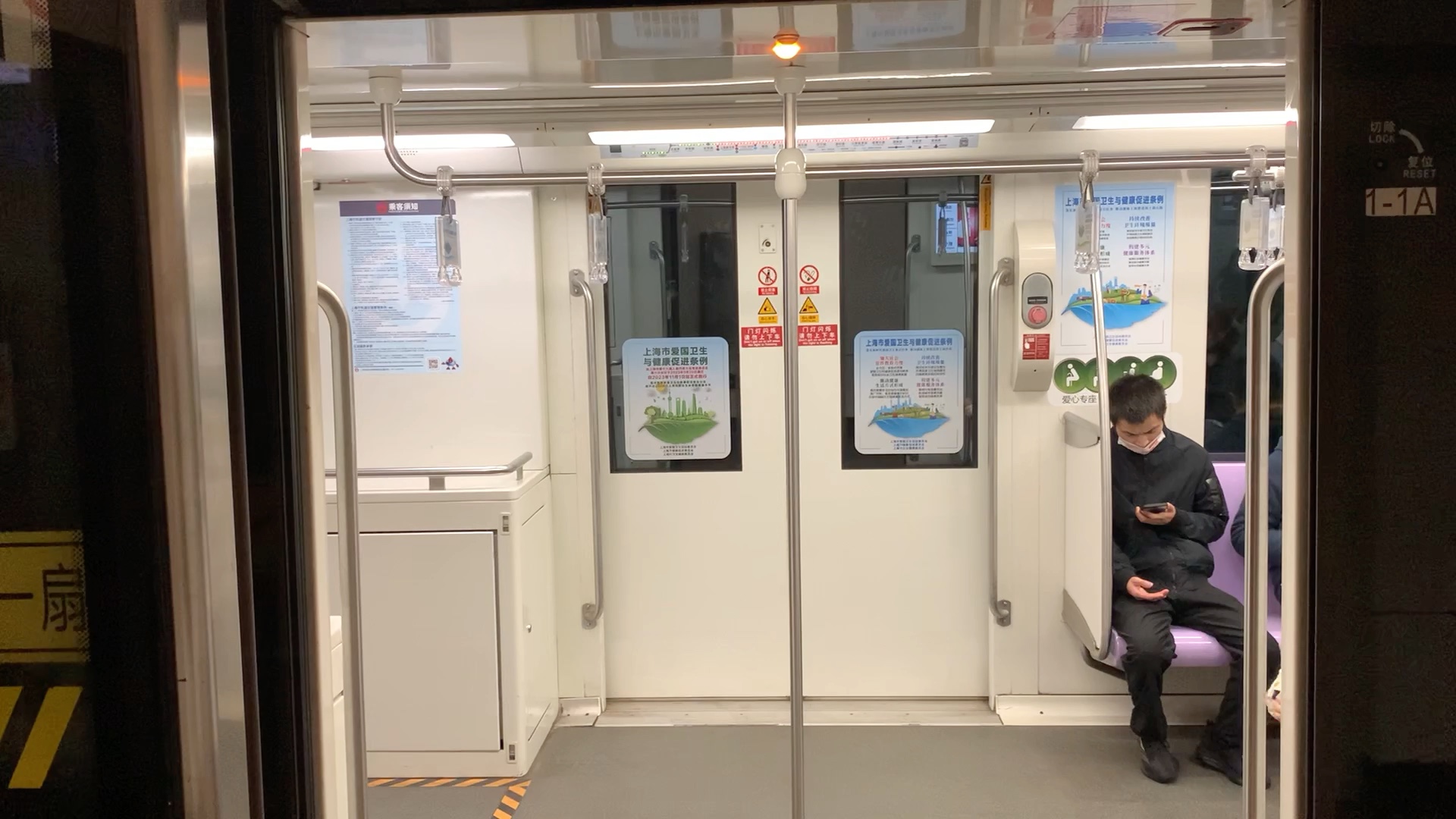 金蕾配元老才有味道!摄于2023.12.03日8.40分