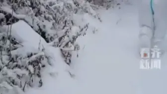 通化防疫人员爬雪山测核酸