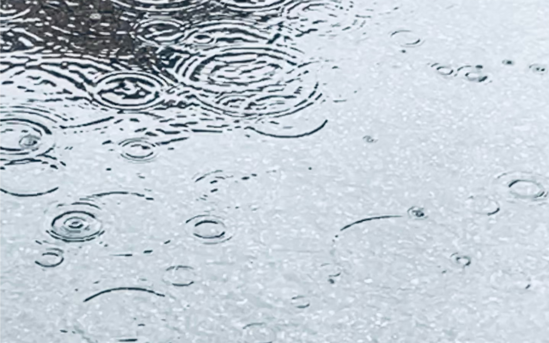 下次你撑伞低头看水洼,就会想起我说雨是神的烟花