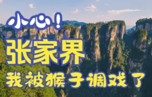 Download Video: 如果你想去爬山，又懒得爬山！那这份攻略必须收好咯！