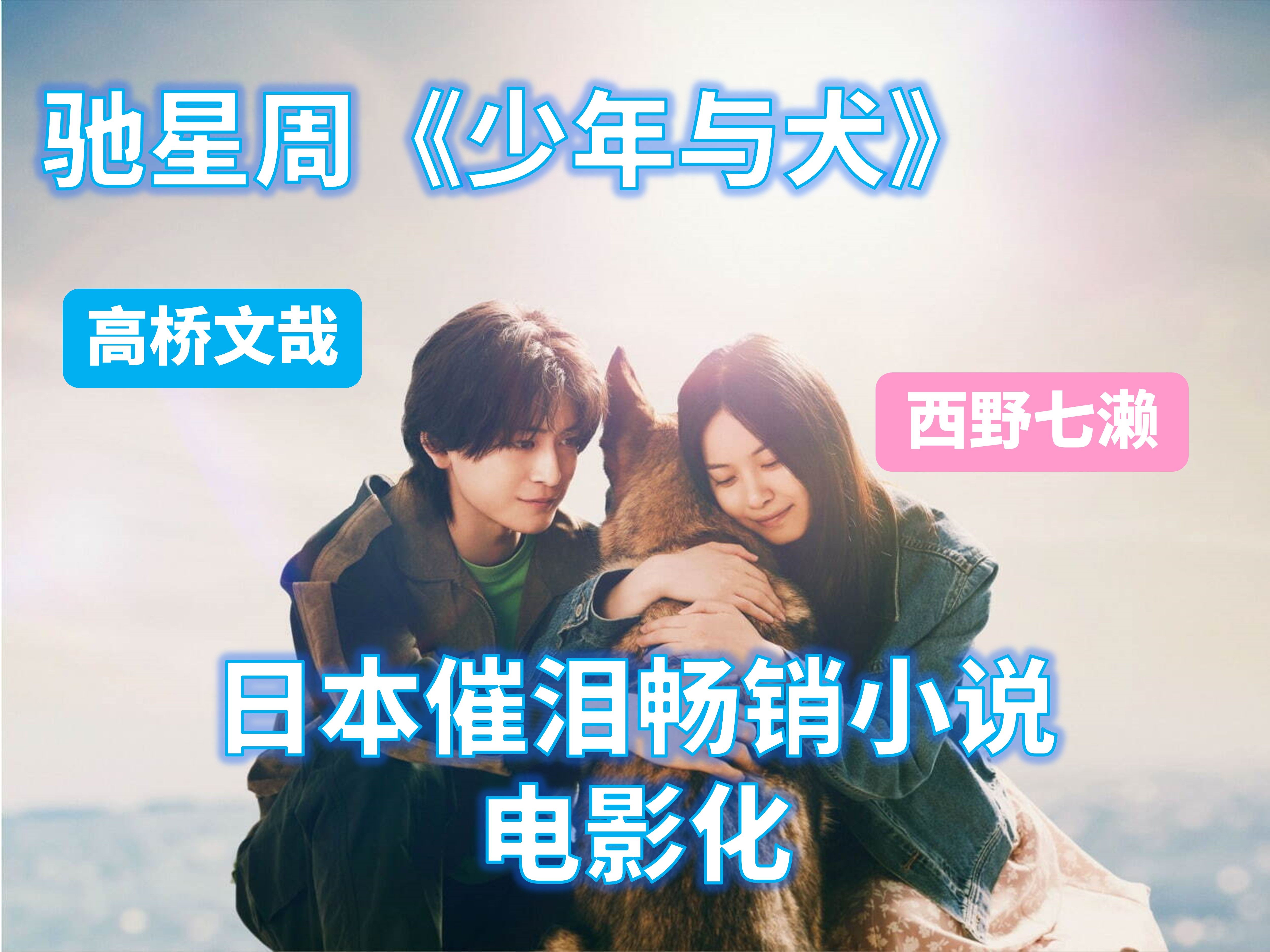 驰星周《少年与犬》电影化 西野七濑*高桥文哉 双主演哔哩哔哩bilibili