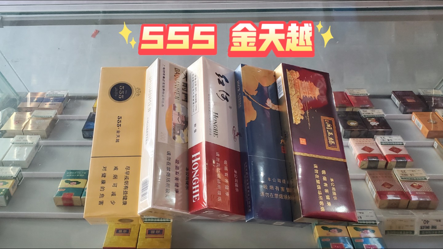 555金天越,展示哔哩哔哩bilibili