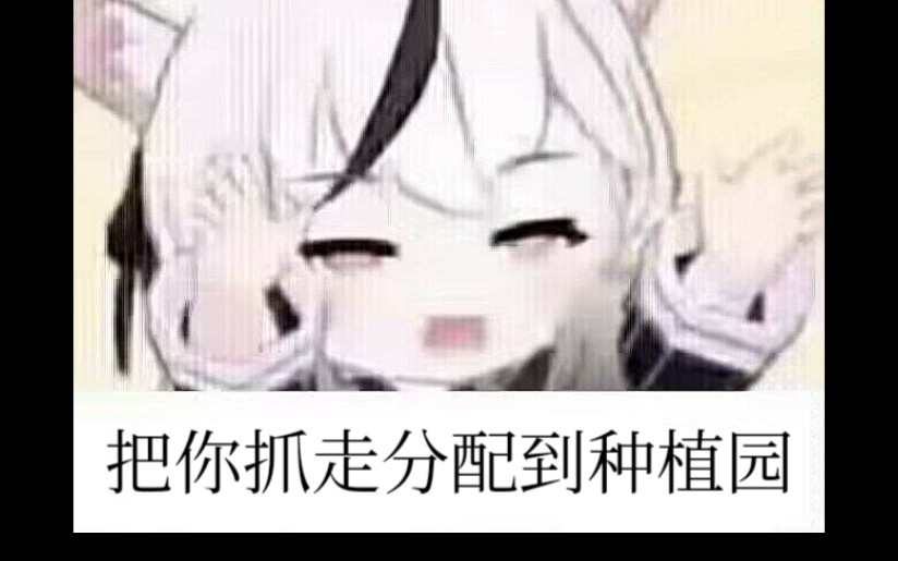 摘棉花体验卡哔哩哔哩bilibili