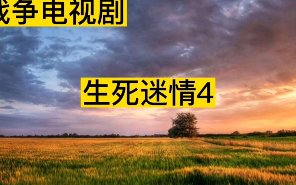 战争电视剧(生死迷情4)