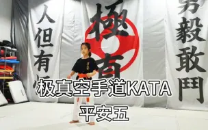 Tải video: 平安五，极真空手道型KATA。以后打的更好了再更新 #极真空手道 #天津 #空手道