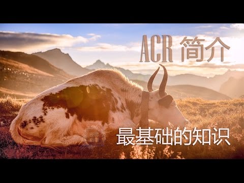 ACR简介——最基础的知识哔哩哔哩bilibili