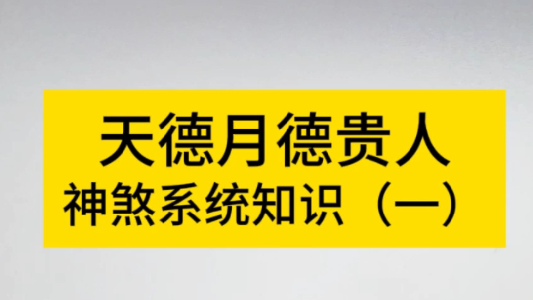 八字命理之天德月德贵人哔哩哔哩bilibili