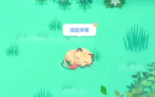 Download Video: Day189 闪光喵喵 第21闪 【PokemonSleep】