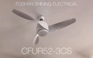 Download Video: Special-shaped blades decorative ceiling fan