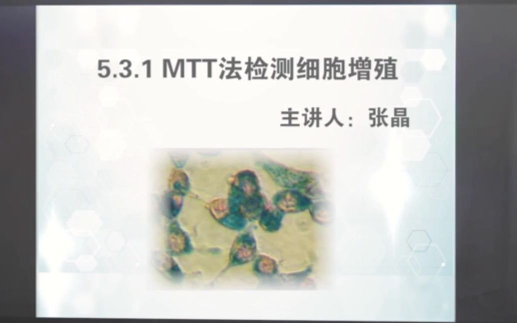 MTT实验及数据分析哔哩哔哩bilibili