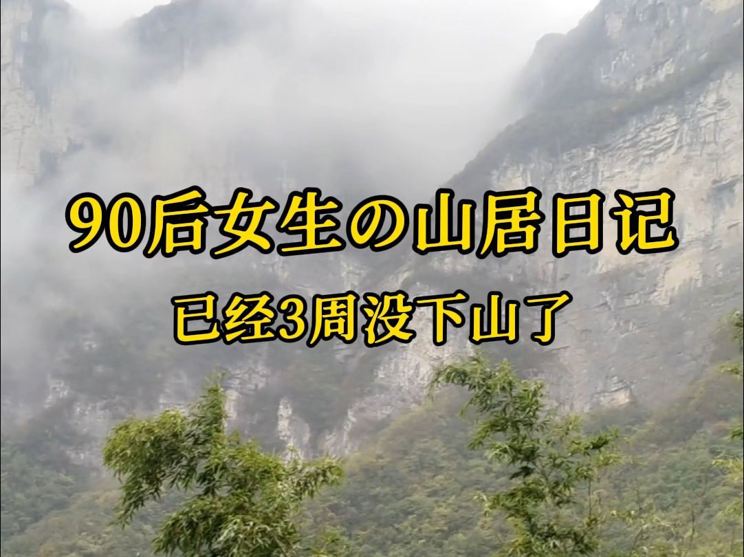 山居日记:3周没下山了,仿佛忘记了时间.