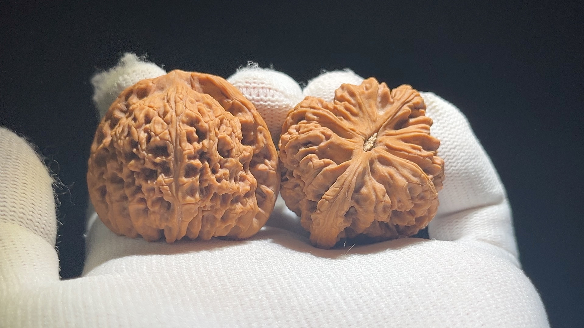 拍卖编号0008 涿鹿老树南疆石 爆肉老款蚂蚁万字纹 尺寸41-37-36 50起