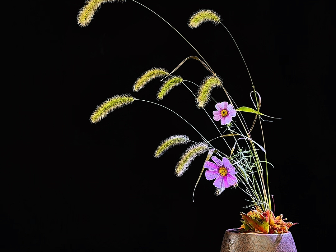 狗尾草#中式插花 #远征教插花 #东方插花