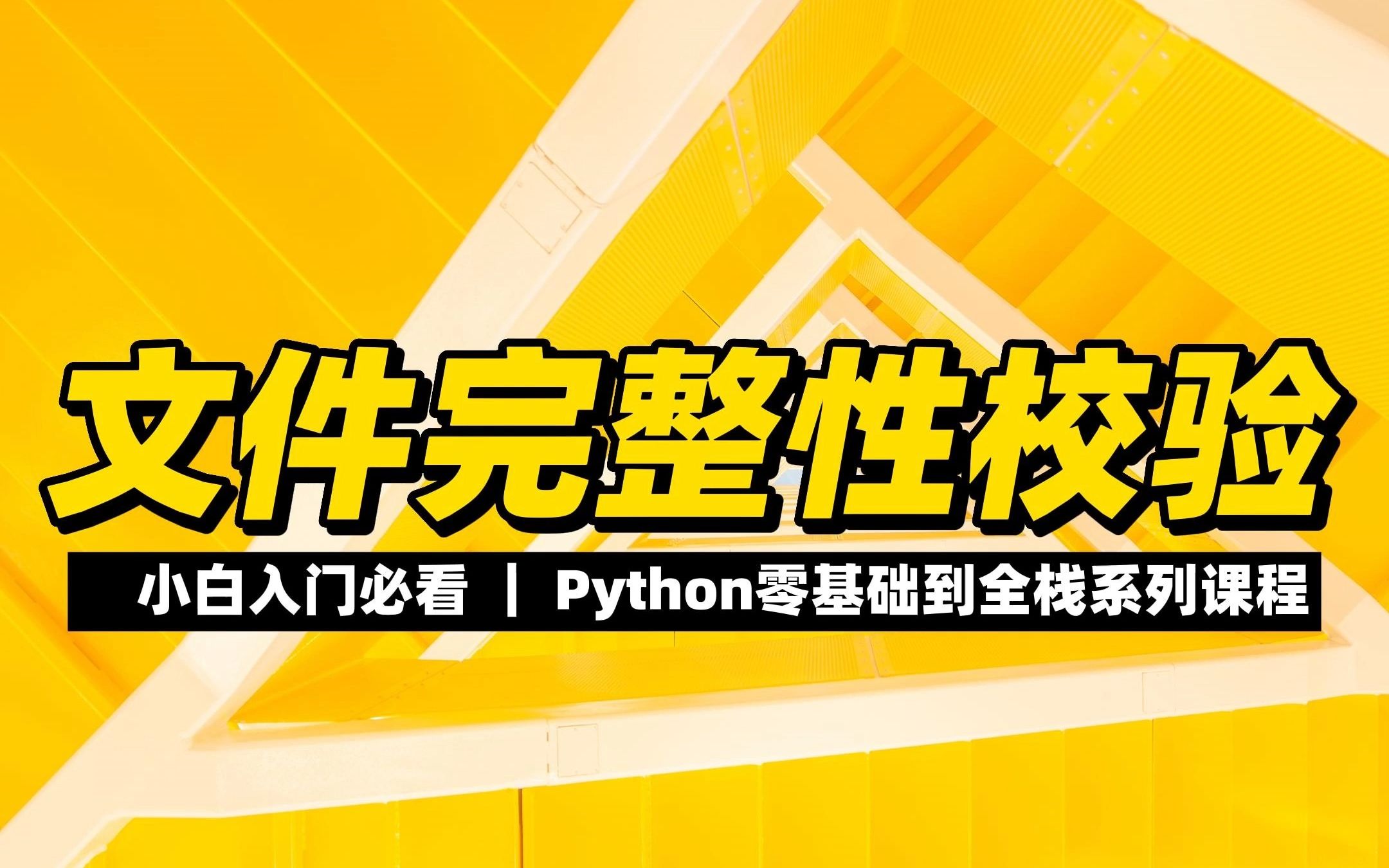 文件完整性校验  《python零基础到全栈系列》哔哩哔哩bilibili