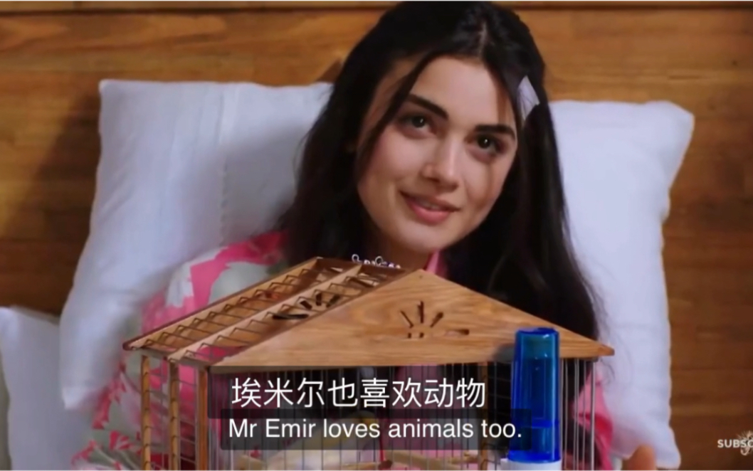 土剧【承诺】cut9 reyhan&emir开始暧昧了