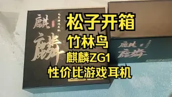 Скачать видео: 【松子开箱】竹林鸟麒麟ZG1游戏耳机！