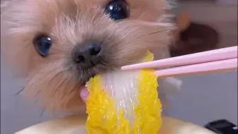 今天吃娃娃菜巴沙鱼西芹汤