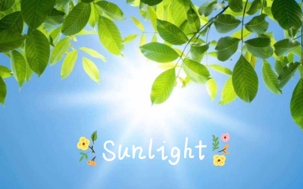 《sunlight》