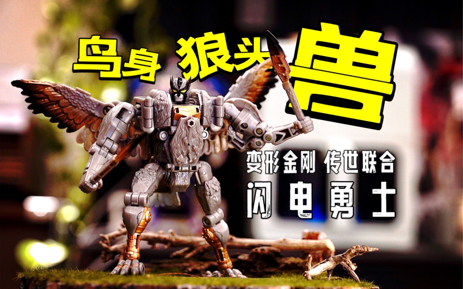 我没领过盒饭 变形金刚bw闪电勇士【chen天玩事务所】