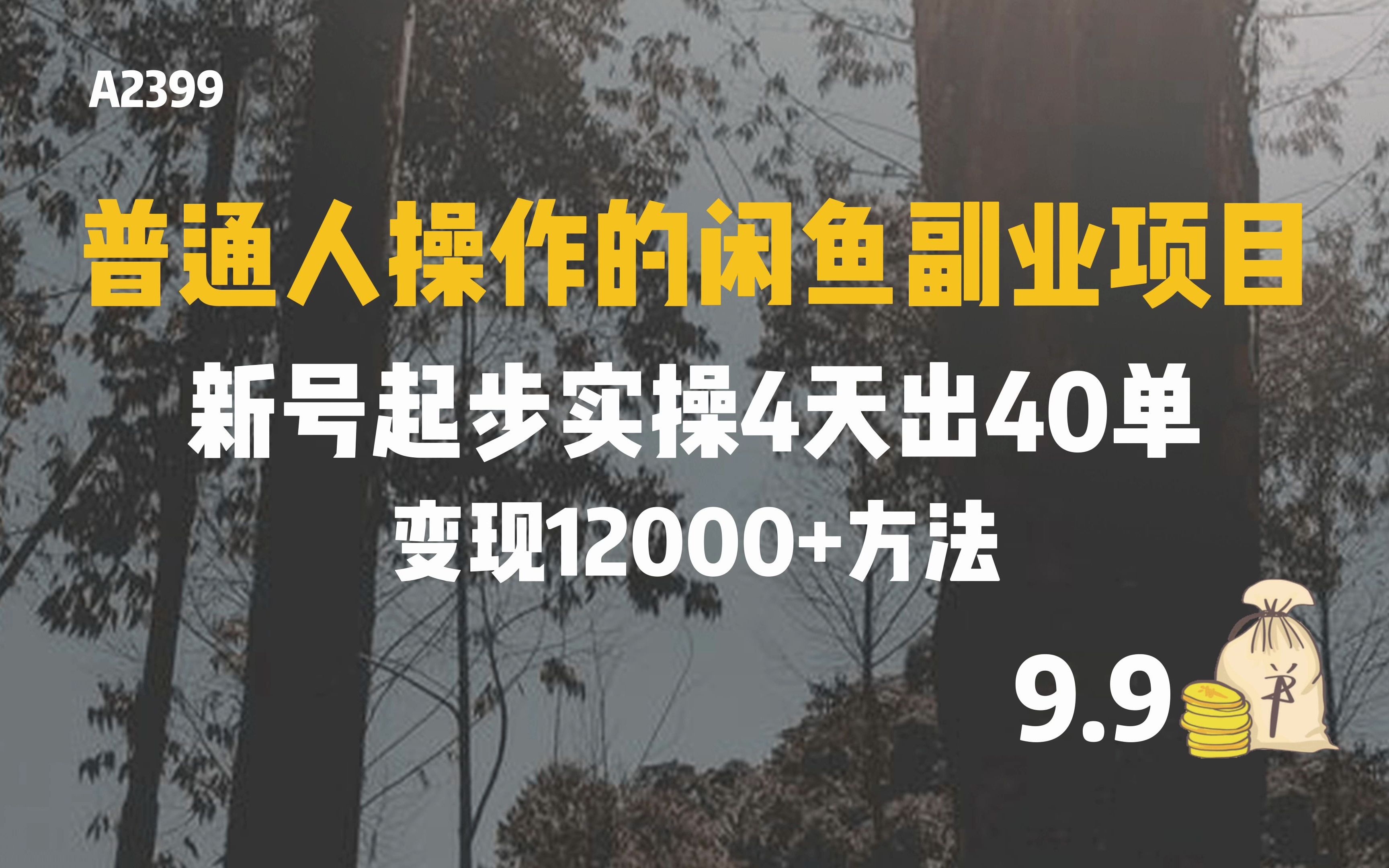 闲鱼副业项目教学资料课程 闲鱼卖货系统学习 培训 视频 教程哔哩哔哩bilibili