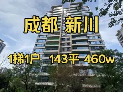 Download Video: 成都新川，现房，1梯1户，143平460w，教科院附小附中，蒙彼利埃小学，地铁6号线500米，配套成熟，面积段132和143平