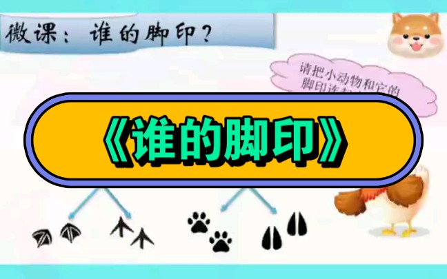 幼师必备|幼儿园公开课《谁的脚印》