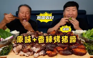 Скачать видео: 和爸爸一起享用2种不同口味猪蹄，配上小菜和米饭，一口咬下去，幸福感爆棚！