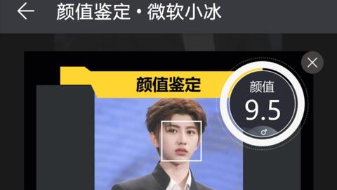 用微软小冰颜值鉴定鉴定蔡徐坤 哔哩哔哩