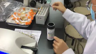 临床检验-尿液分析仪使用