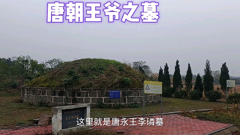 永王李璘墓一位唐朝王爷怎么会埋葬江西小山村