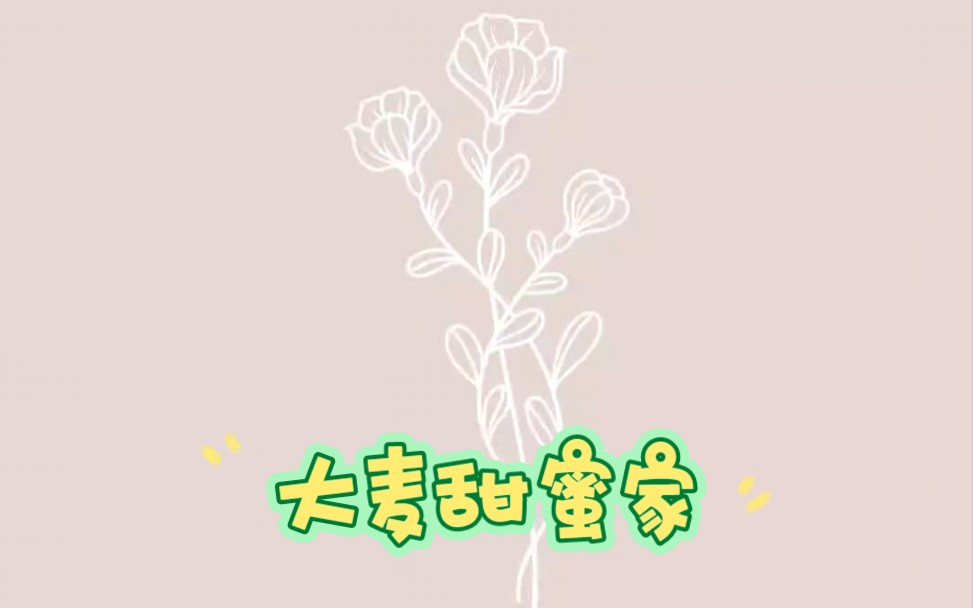 华贵大麦甜蜜家2022夫妻定寿哔哩哔哩bilibili