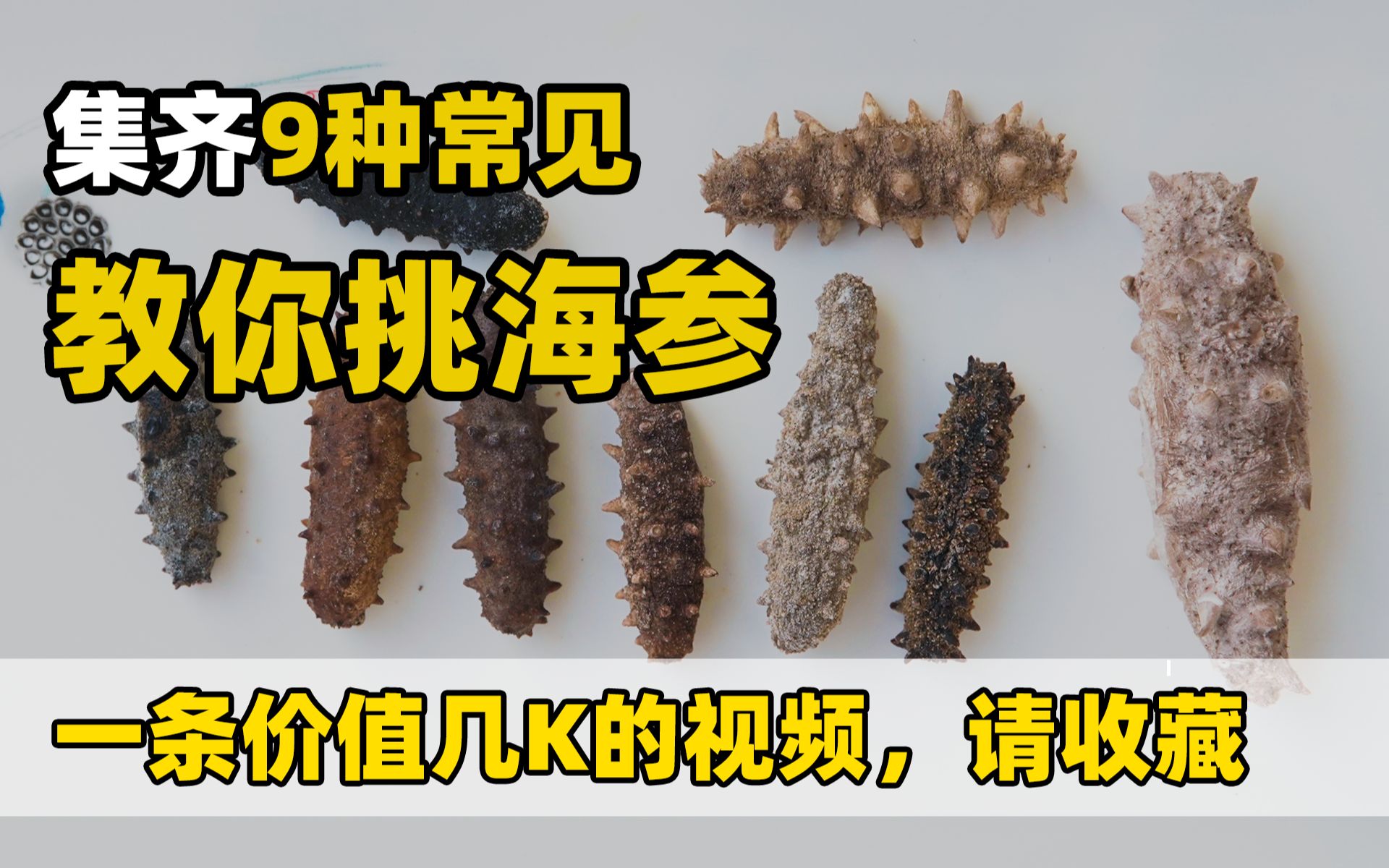 [图]集齐市面9种海参，只为教大家如何辨别，这个可能会得罪很多j商吧，但是不管那么多了。