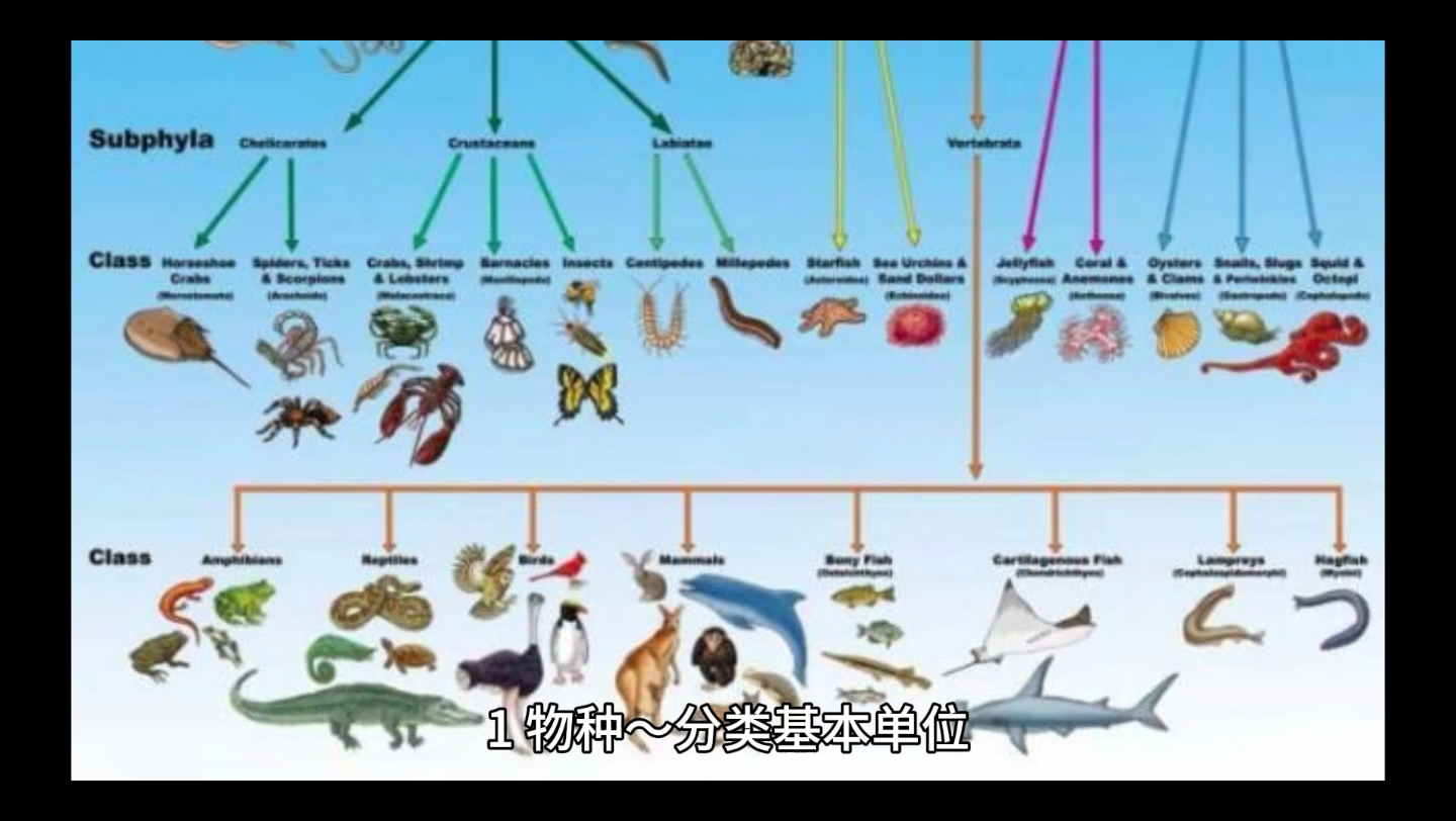 [图]普通动物学名词解释（1）